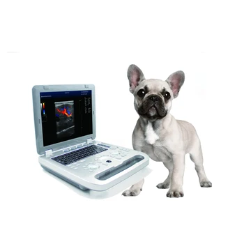 CONTEC CMS1700A-VET Online odavate veterinaar-kaasaskantav ultraheli masin lehmad